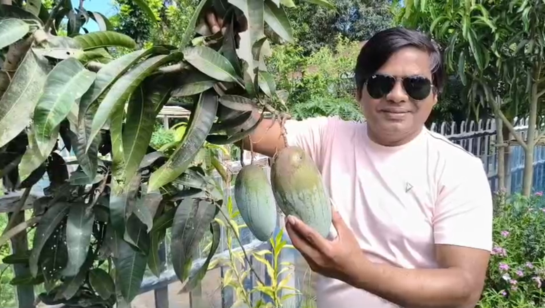সাংবাদিক মিশুর শখের বাগান -- 'সাহেবনগর জে. আলী ভিলেজ'