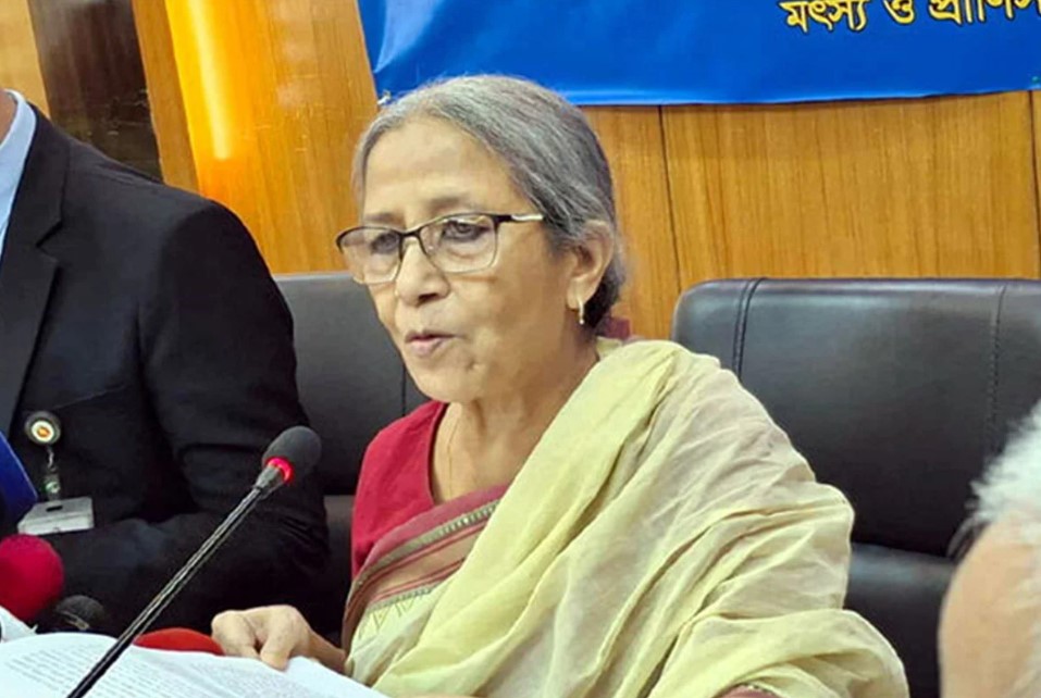 সরবরাহ কম এবং চাঁদাবাজির কারণেই ইলিশের দাম বাড়ছে: মৎস্য উপদেষ্টা