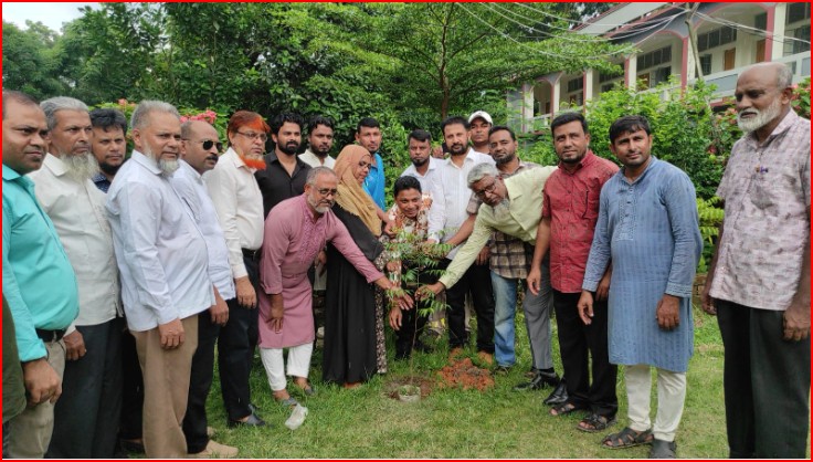 ময়নামতি উচ্চ বিদ্যালয় ও কলেজে বৃক্ষরোপণ কর্মসূচি অনুষ্ঠিত
